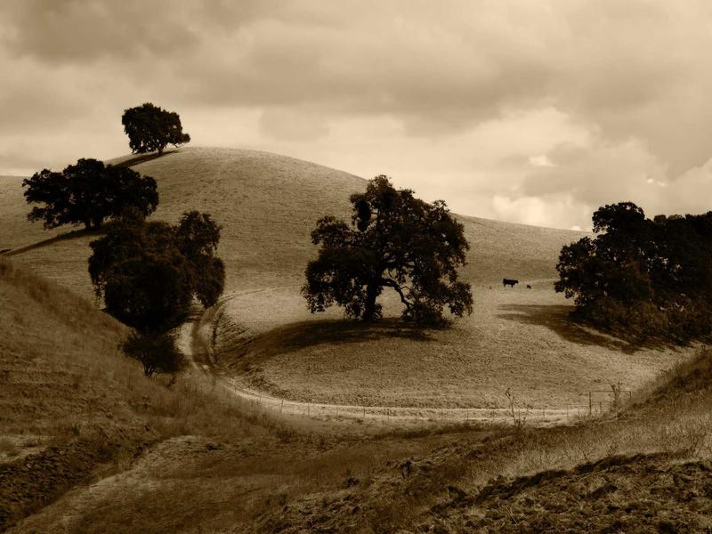 sudoku hints system screenshot 1