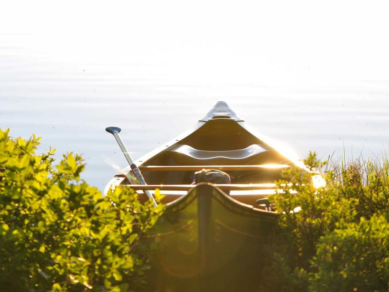 partners screenshot 1